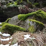 דירה Nikki גמונד