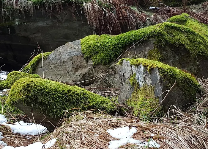 Apartament Nikki Gmünd