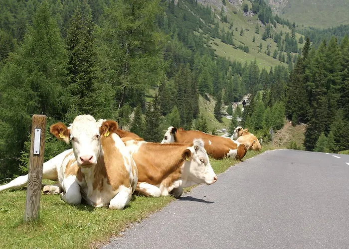 Apartament Nikki Gmünd