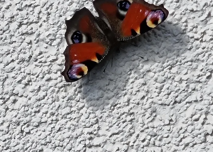 Nikki Apartament Gmünd