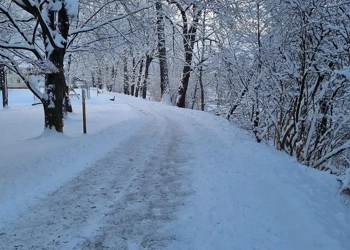 Nikki Apartament Gmünd